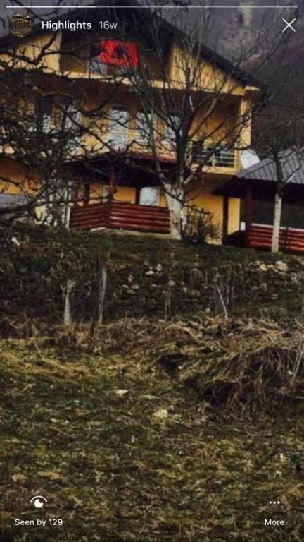 Guest house Dedushi &wood Cabins-camping Place