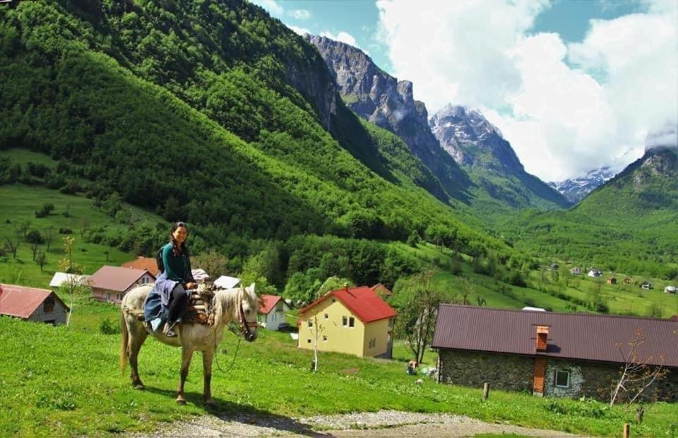 Dedushi &wood Cabins-camping Place Guest house