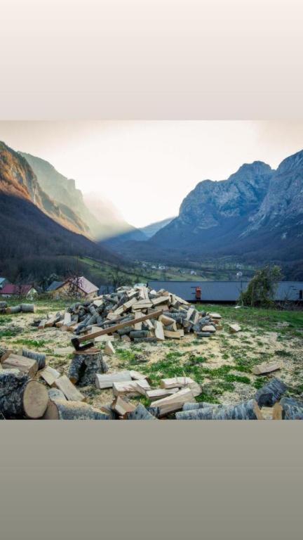 Dedushi &wood Cabins-camping Place